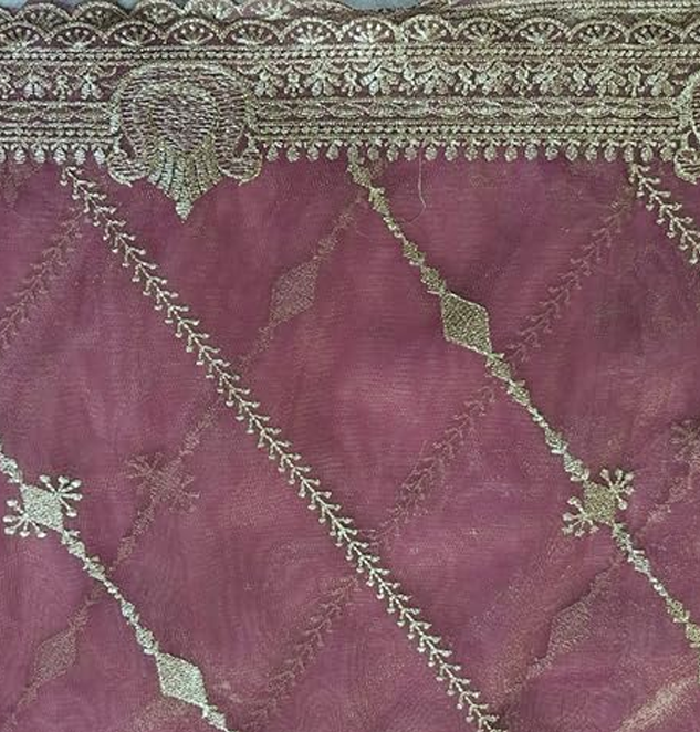 Bollywood Paisley Twill Net Fabric Embroidered Pattern