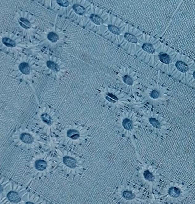 Embroidered Fabric for Apparel